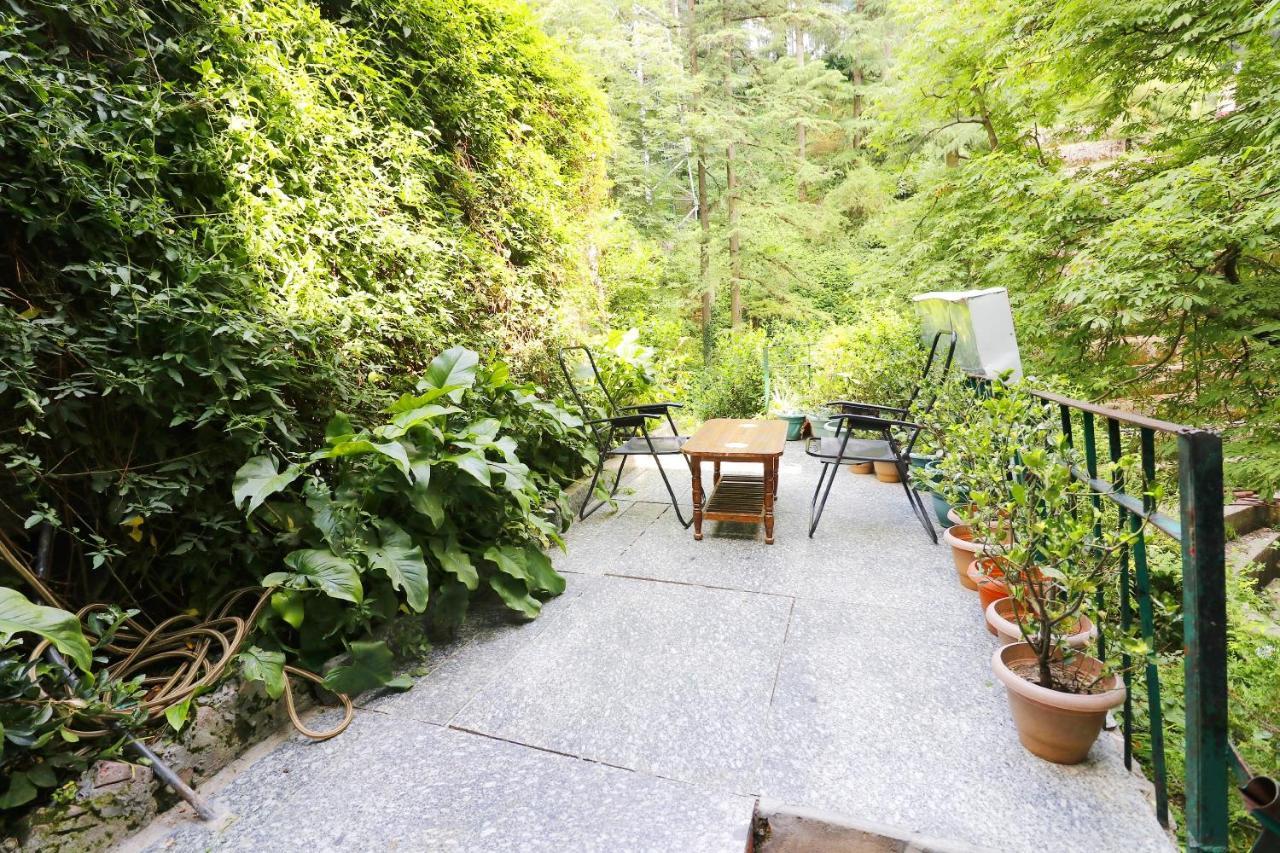 Oyo 45337 Hotel Woodland Shimla Zewnętrze zdjęcie